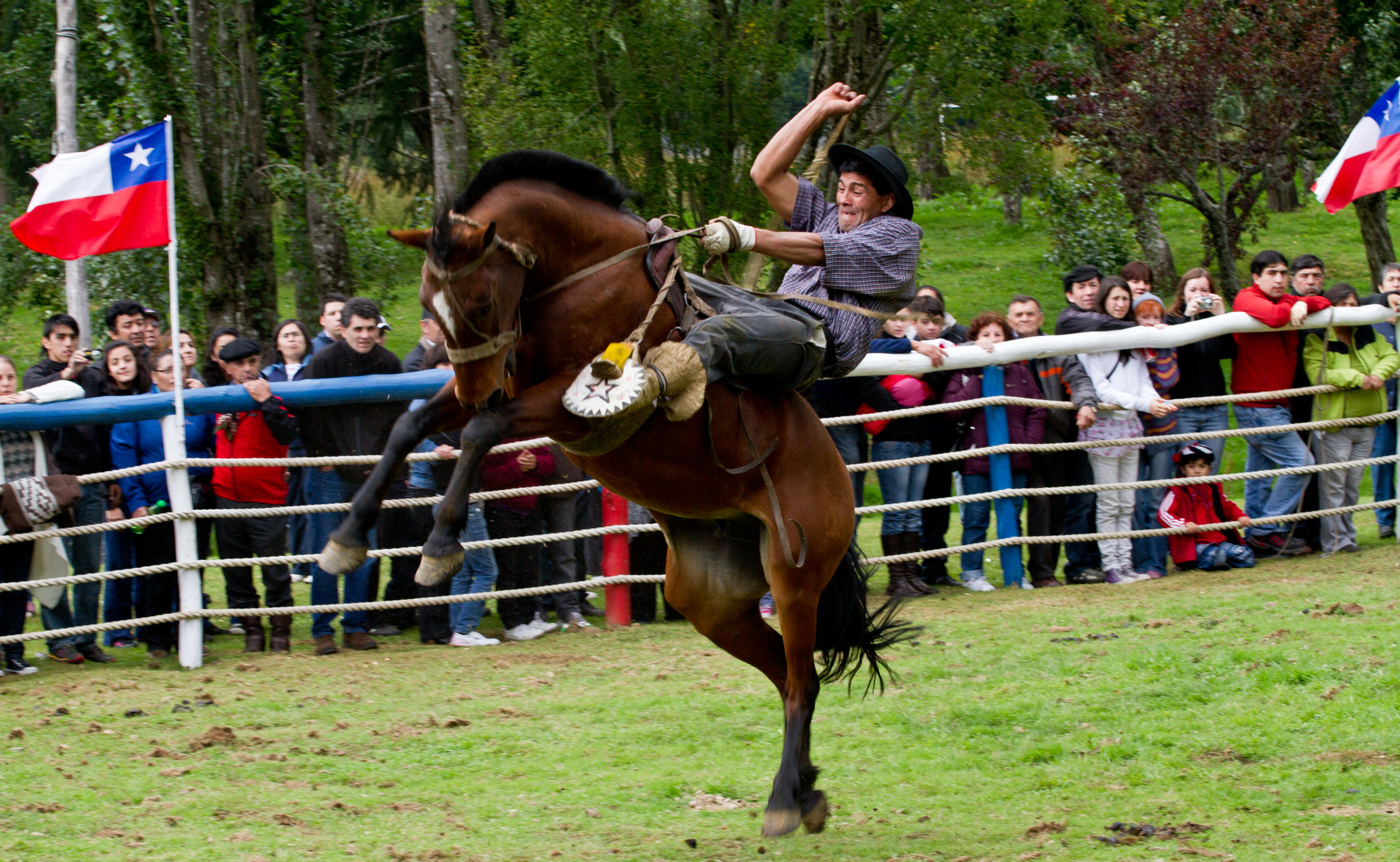 A Chilean-style rodeo in Aysen.